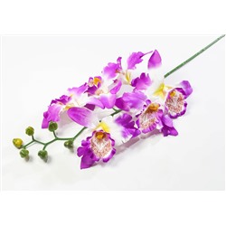 Ветка орхидеи "Цимбидиум"