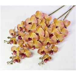 Ветка орхидеи 30
