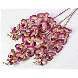 Ветка орхидеи 29