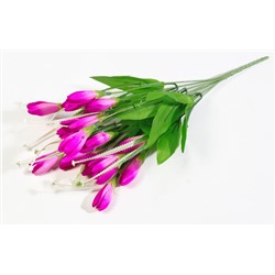 Букет крокусов "Спектр" 7 веток 21 цветок
