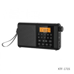Радиоприемник 1200 мАч 15,5*3,2*8,9 см USB Bluetooth Baizheng (1/80)