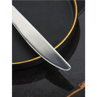 Набор ножей столовых из нержавеющей стали Доляна, h=23 см, толщина рабочей части 2,2 мм, толщина ручки 5 мм, 410 сталь, 3 шт