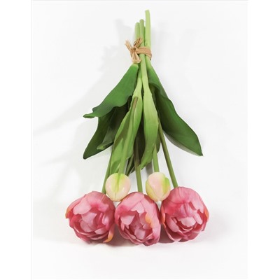 Букет открытых тюльпанов 3+2 дикий арбуз