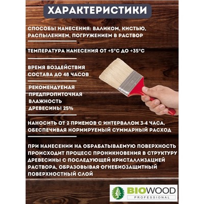 Концентрат Огнебиозащита, II группа огнезащиты BIOWOOD FS концентрат 1:1, 5л