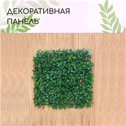 Декоративная панель, 25 × 25 см, «Мокрица», Greengo