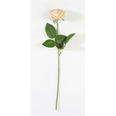 Роза с латексным покрытием открытая персик