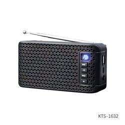 Акустическая система 1200 мАч 7*4,4*14,5 см USB Bluetooth FM радио Baizheng (1/80)
