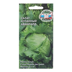 Семена Салат "Авангард", 0,5 г