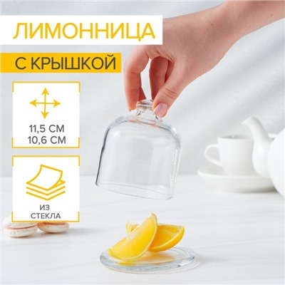 Лимонница с крышкой Basic