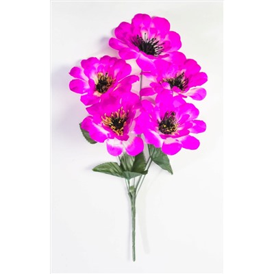 Георгин "Тристан" 5 цветков