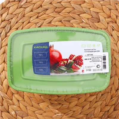 Набор контейнеров пищевых RICCO, 3 шт: 1 л, 18,5×12×7 см, прямоугольные, цвет зелёный