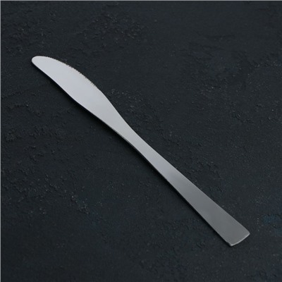 Нож столовый Доляна Gleen, h=22 см, толщина 2 мм, цвет серебряный