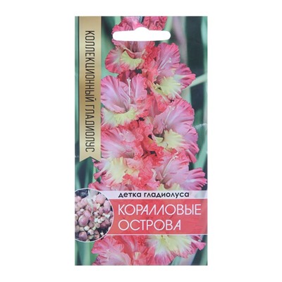 Клубнепочка гладиолуса Коралловые острова (трехцветный), 5 шт.