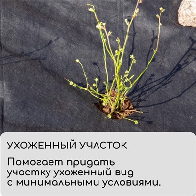 Круг приствольный, d = 1 м, плотность 60 г/м², спанбонд с УФ-стабилизатором, набор 2 шт., чёрный, Greengo, Эконом 20%