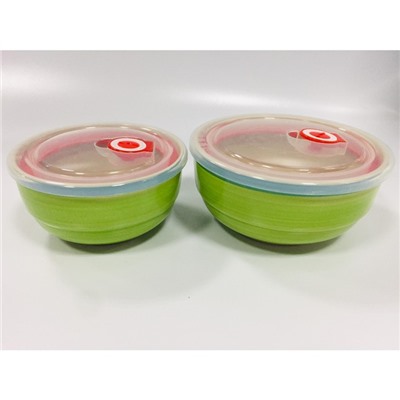 Набор из 2 салатников с пластиковыми крышками Elrington «Аэрограф зелень лета»