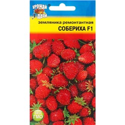 Семена Земляника "Собериха", F1, 5 шт