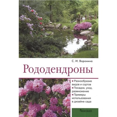 Рододендроны. Воронина С.