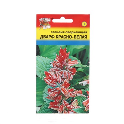 Семена цветов Сальвия "Дварф", Красно-белая, 0,03 г