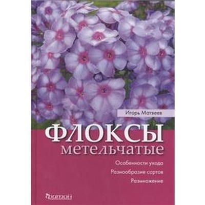 Флоксы метельчатые. Матвеев И.