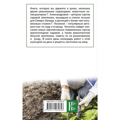 Крупноплодная садовая земляника: проверенные сорта, способы повышения урожая