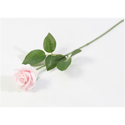 Роза с латексным покрытием открытая светло-розовая