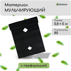 Материал мульчирующий, с перфорацией, 5 × 0,8 м, плотность 80 г/м², спанбонд с УФ-стабилизатором, чёрный, Greengo, Эконом 20%