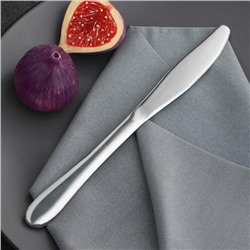 Нож столовый из нержавеющей стали, 23×2 см, цвет серебряный