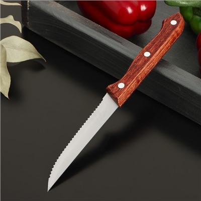 Нож для стейка Доляна Ecology, лезвие 11 см