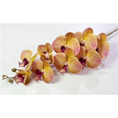 Ветка орхидеи 30