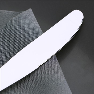 Нож столовый Доляна «Плейн Бритиш», 22,7 см, толщина 2 мм