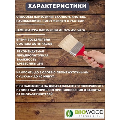 Антисептик для внутренних и наружных работ BIOWOOD VN концентрат 1:1, 10л