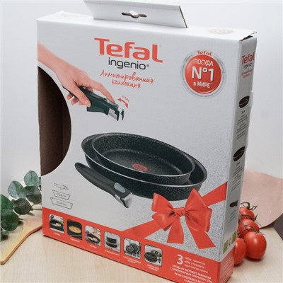 Набор сковород Tefal, d=24/28, ручка