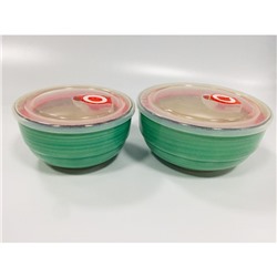 Набор из 2 салатников с пластиковыми крышками Elrington «Аэрограф изумруд»