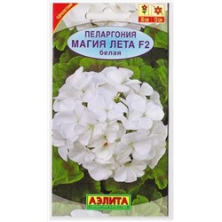 Пеларгония Магия лета F2 Белая   (Код: 71409)