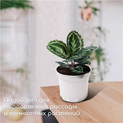 Горшок для рассады, 3 л, d = 19 см, h = 15 см, белый, Greengo