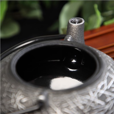 Чайник чугунный Доляна «Хрома», 800 мл, с ситом, эмалированное покрытие внутри, цвет серый