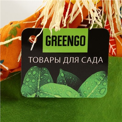 Подставка для цветов, на 1 горшок, d = 9 см, h = 9 см, МИКС, «Пугало», Greengo