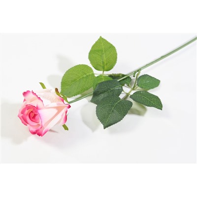 Роза с латексным покрытием гибридная