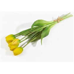 Букет тюльпанов 3+2 желтые