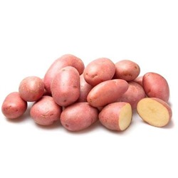 Семенной картофель  Розара, 2 репр. 1 кг