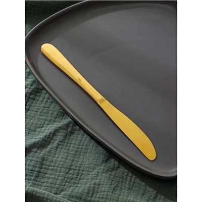 Набор ножей столовых Доляна «Голд», 22 см, 6 шт, цвет золотой