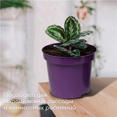 Горшок для рассады, 5 л, d = 22 см, h = 18 см, фиолетовый, Greengo