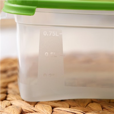 Набор контейнеров пищевых RICCO, 3 шт: 1 л, 18,5×12×7 см, прямоугольные, цвет зелёный