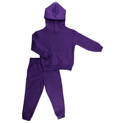 Спортивный костюм 0316/20 фиолетовый