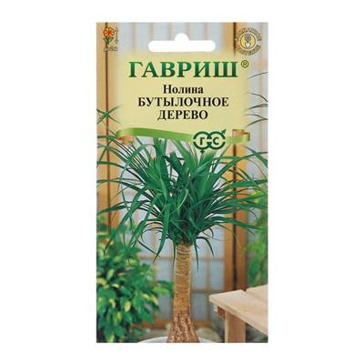 Семена комнатных цветов Нолина "Бутылочное дерево", 3 шт.