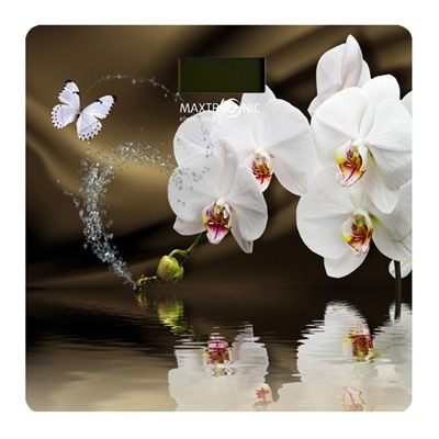 Весы напольные электронные 150 кг 30*30 см стекло Орхидеи Maxtronic (1/10)