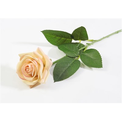 Роза с латексным покрытием открытая персик