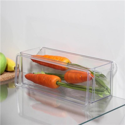 Контейнер для холодильника с крышкой IDEA, 10×30×10 см, цвет прозрачный