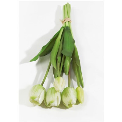 Букет тюльпанов 3+2 белые