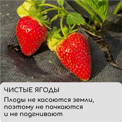 Материал мульчирующий, 5 × 3,2 м, плотность 60 г/м², спанбонд с УФ-стабилизатором, чёрный, Greengo, Эконом 20%